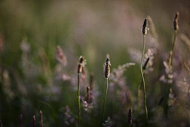 《英灵神殿》发布《灶与家》更新武器改动视频